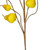 Vickerman FPQ236759 - 32 in. Light Green Pear Artificial Spray - 3 Pack