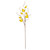 Vickerman FPQ236759 - 32 in. Light Green Pear Artificial Spray - 3 Pack 
