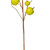 Vickerman FPQ237354 - 31 in. Green Apple Artificial Spray - 3 Pack 