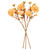 Vickerman FR235001 - 26 in. Cream Chrysanthemum Artificial Spray - 3 Pack