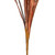 Vickerman FXT235503 - 28.5 in. Red Siam Tulip Artificial Spray - 2 Pack 