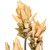 Vickerman FXT235515 - 28.5 in. Cream Siam Tulip Artificial Spray - 2 Pack 