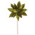 Vickerman RG233173 - 21.5 in. Lime Poinsettia Flower Artificial Spray - 2 Pack