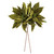 Vickerman RG233173 - 21.5 in. Lime Poinsettia Flower Artificial Spray - 2 Pack