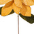Vickerman RG237708 - 27.5 in. Gold Poinsettia Flower Artificial Spray - 2 Pack 