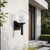 Black Outdoor Wall Sconce with Clear Prismatic Globe - Long & Short Tail Included