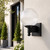 Black Outdoor Wall Sconce with Clear Prismatic Globe - Long & Short Tail Included 