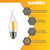  Sunlite 80449-SU Vintage LED Filament Bulb E26 Medium 1800K 