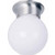 Volume Lighting V7309-33 - Brushed Nickel Globe Flush Mount - White Glass Globe