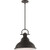  Volume Lighting V1187-65 Indoor Brushed Nickel Downrod Pendant