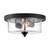 Nuvo 60-7290 - Matte Black Indoor 2 Light Flush Mount - 60W 