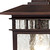Nuvo 60-4955 - Rustic Bronze Outdoor Hanging Lantern - 100W 