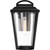  Nuvo Lighting 60-6511 
