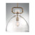 Nuvo Lighting 60-7142 - Burnished Brass Indoor Pendant - 100W 