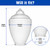 17" Clear Acorn Street Plastic Light Globe with 4" Neck - 88067-CL-4F