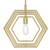 Westinghouse 6369700 - 1-Light Champagne Brass Geometric Pendant - 15-3/4 in Diameter - Holly