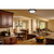Westinghouse 6429200 - 3-Light Oil Rubbed Bronze Flush Mount - 15 in Diameter