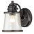 Westinghouse 6204000 - 1-Light Amber Bronze Outdoor Wall Lantern - 10 in High