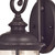 Westinghouse 6230600 - 1-Light Oil Rubbed Bronze Outdoor Wall Lantern - 13-3/4 in High
