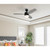 Westinghouse 7305200 - 48 in Gun Metal 3-Blade Ceiling Fan with LED Light - Drake