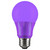 Sunlite 80132-SU A19/3W/PR/LED