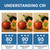 Understanding Color Rendering Index (CRI)