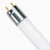 TCP LT812C40K - 4 ft LED T8 Tube - 4000K - Type C