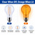 Satco S14385 - 8W A19 LED Orange Filament Light Bulb