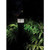 Satco S13164 45W/AP32/LED/CCT/100-277V/E26