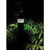Satco S13164 45W/AP32/LED/CCT/100-277V/E26