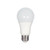Satco S28788 15.5A19/LED/50K/ND/120V