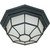 Satco 60-3452 - Black Outdoor Flush Mount Ceiling Light - Wet Rated