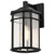  Satco 60-5760 Satco 60-5760  Matte Black Wall Light with Clear Seedy Glass 