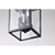  Satco 60-5933 Matte Black Ceiling Hanging Light with Clear Glass 