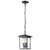  Satco 60-5933 Matte Black Ceiling Hanging Light with Clear Glass 