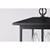 Satco 60-5933 Matte Black Ceiling Hanging Light with Clear Glass 