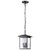  Satco 60-5933 Matte Black Ceiling Hanging Light with Clear Glass 