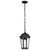  Satco 60-5944 Matte Black Ceiling Hanging Light with Clear Water Glass 