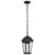  Satco 60-5944 Matte Black Ceiling Hanging Light with Clear Water Glass 