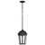  Satco 60-5944 Matte Black Ceiling Hanging Light with Clear Water Glass 