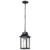  Satco 60-5958 Matte Black Hanging Light with Clear Water Glass 