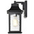  Satco 60-5959 Matte Black Wall Light with Clear Water Glass 