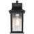  Satco 60-5959 Matte Black Wall Light with Clear Water Glass 