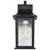  Satco 60-5959 Matte Black Wall Light with Clear Water Glass 