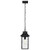  Satco 60-5996 Matte Black Hanging Light with Clear Water Glass 