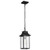  Satco 60-5996 Matte Black Hanging Light with Clear Water Glass 