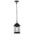  Satco 60-6117 Matte Black Hanging Light with Clear Glass 