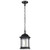  Satco 60-6117 Matte Black Hanging Light with Clear Glass 