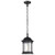  Satco 60-6117 Matte Black Hanging Light with Clear Glass 