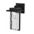  Satco 60-7356 Matte Black Wall Light with Clear Water Glass 